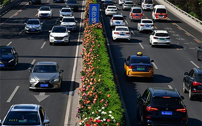 918������(�й���)�ٷ���վ